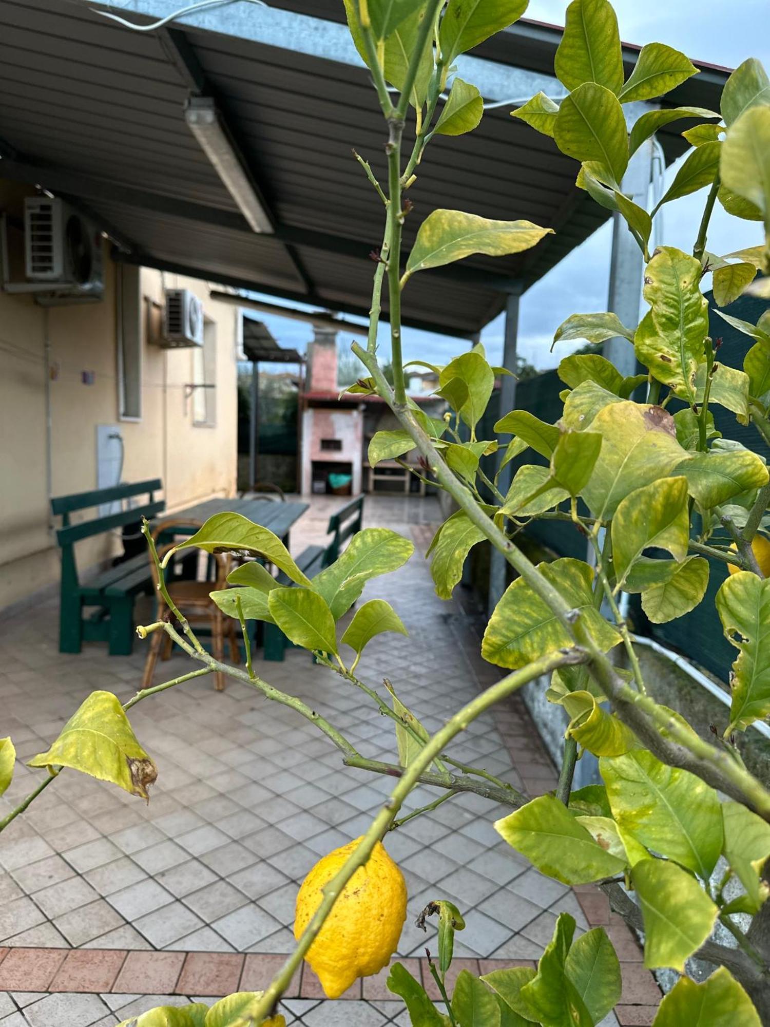 Peace & Relax Holiday Home Lazzeretto エクステリア 写真